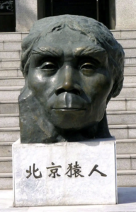 北京原人