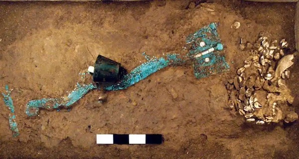 緑松石龍形器ターコイズの龍